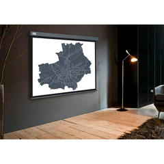 Экран Cactus Wallscreen CS-PSW-180X180-SG, 180&times;180 см, 1:1, настенно-потолочный, серый