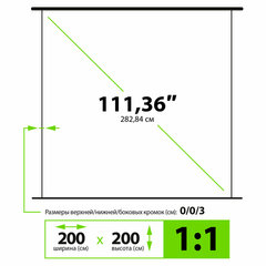 Экран Cactus WallExpert CS-PSWE-200&times;200-WT, 200&times;200 см, 1:1, настенно-потолочный, белый