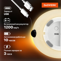 Ночник силиконовый LED &laquo;Панда&raquo; 106&times;112&times;136 мм, белый свет/<wbr/>RGB, таймер, USB, аккумулятор 1200 мАч, DASWERK (ДАСВЕРК), 238937