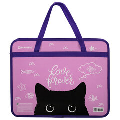 Папка на молнии с ручками BRAUBERG А4, 1 отделение, пластик, 80 мм, &laquo;Black Cat&raquo;, 270122