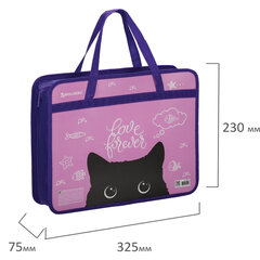 Папка на молнии с ручками BRAUBERG А4, 1 отделение, пластик, 80 мм, &laquo;Black Cat&raquo;, 270122