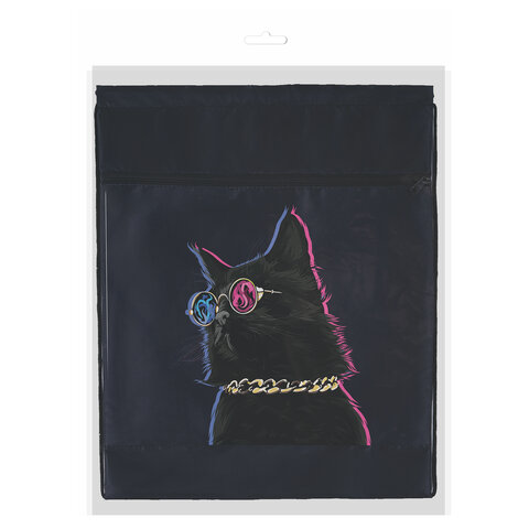 Мешок для обуви BRAUBERG, с петлёй, карман на молнии, 47х37 см, "Movie time", 270910