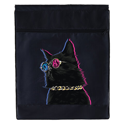 Мешок для обуви BRAUBERG, с петлёй, карман на молнии, 47х37 см, "Movie time", 270910