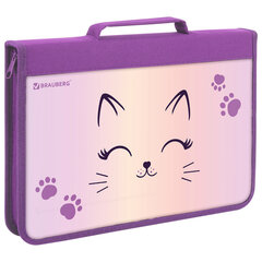 Папка на молнии BRAUBERG А4 с ручкой, с органайзером, 1 отделение, "Cheerful", 271448