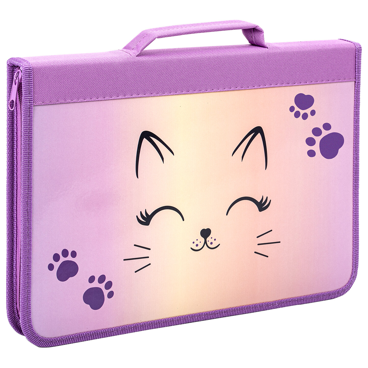 Папка на молнии BRAUBERG А4 с ручкой, с органайзером, 1 отделение, "Cheerful", 271448