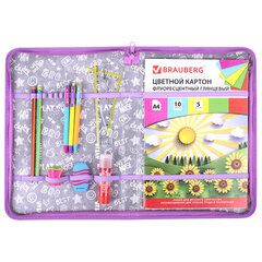 Папка на молнии BRAUBERG А4 с ручкой, с органайзером, 1 отделение, &laquo;Cheerful&raquo;, 271448