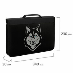 Папка на молнии BRAUBERG А4 с ручкой, с органайзером, 1 отделение, &laquo;Husky&raquo;, 271450