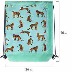 Мешок для обуви ЮНЛАНДИЯ, с ручками, боковой карман на молнии, 46&times;36 см, &laquo;Wild Cats&raquo;, 271614