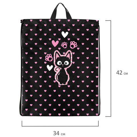 Мешок для обуви BRAUBERG KIDS, с петлей, 42х34 см, "Amazed cat", 271629