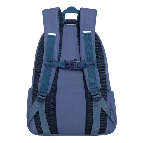 Рюкзак GRIZZLY школьный, анатомическая спинка, 2 отделения, для девушек, "FLY", 39х30х20 см, RG-262-1/3