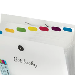 Папка-органайзер на резинке 8 отделений, BRAUBERG &laquo;Glassy&raquo;, А4, прозрачная, 271928