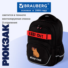 Рюкзак BRAUBERG MOTION, 2 отделения, 3 кармана, "Капибара", СВЕТЯЩИЙСЯ, 41х28х17 см, 272032