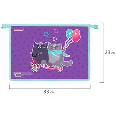Папка для тетрадей ПИФАГОР А4, 1 отделение, картон/<wbr/>пластик, на молнии, &laquo;Bike cats&raquo;, 272125