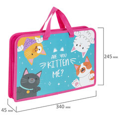 Папка на молнии с ручками ЮНЛАНДИЯ А4, 1 отделение, пластик, ширина 45 мм, &laquo;Cat gang&raquo;, 272148