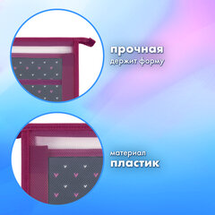 Папка для труда на молнии BRAUBERG А4, 2 отделения, органайзер, &laquo;Shining heart&raquo;, 272210