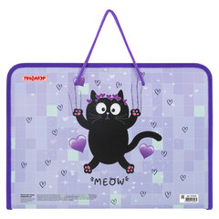 Папка для труда на молнии с ручками ПИФАГОР А4, 1 отделение, пластик, органайзер, &laquo;Falling cat&raquo;, 272226