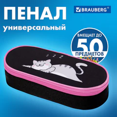 Пенал-футляр BRAUBERG, 1 отделение, органайзер, полиэстер, 22x9х5 см, "Don't wake up", 272311