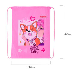 Мешок для обуви ПИФАГОР, 1 отделение, 42&times;34 см, &laquo;Fluffy akita&raquo;, 272385