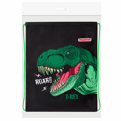 Мешок для обуви ПИФАГОР, 1 отделение, 42&times;34 см, &laquo;Dino roar&raquo;, 272387