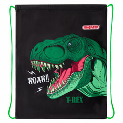 Мешок для обуви ПИФАГОР, 1 отделение, 42&times;34 см, &laquo;Dino roar&raquo;, 272387