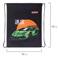 Мешок для обуви ПИФАГОР, 1 отделение, 42&times;34 см, &laquo;Dive into drive&raquo;, 272388