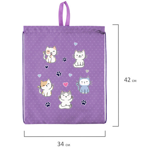 Мешок для обуви BRAUBERG KIDS, с петлей, 42х34 см, "Playing kittens", 272413 - фото 6