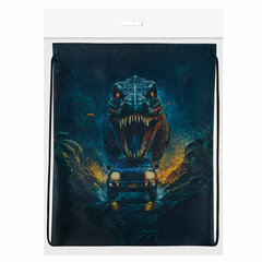 Мешок для обуви BRAUBERG KIDS, с петлей, 42&times;34 см, &laquo;Dino chase&raquo;, 272416