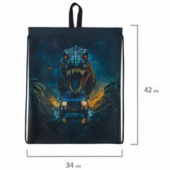 Мешок для обуви BRAUBERG KIDS, с петлей, 42&times;34 см, &laquo;Dino chase&raquo;, 272416