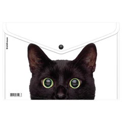 Папка-конверт на кнопке пластиковая ERICH KRAUSE &laquo;Hiding Cats&raquo;, A4, ассорти, 61155