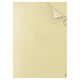 Папка-уголок ERICH KRAUSE "Diagonal Pastel", ассорти, 0,18 мм, 50170