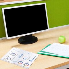 Папки-файлы перфорированные А4 BRAUBERG &laquo;PREMIUM&raquo;, КОМПЛЕКТ 100 шт., матовые, 25 мкм, 273000