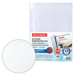 Папки-файлы перфорированные с антибликовой текстурой А4 BRAUBERG PIXEL, КОМПЛЕКТ 100 шт., 25 мкм, 273001