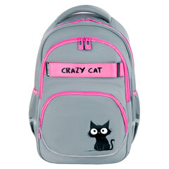 Рюкзак BRAUBERG MOTION, 2 отделения, 3 кармана, &laquo;Crazy cat&raquo;, 41&times;28&times;17 см, 273115