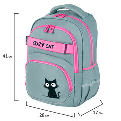 Рюкзак BRAUBERG MOTION, 2 отделения, 3 кармана, "Crazy cat", 41х28х17 см, 273115