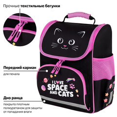 Ранец ПИФАГОР BASIC, 1 отделение, 3 кармана, эргономичная спинка, "Черный кот", 35х28х18 см, 273134