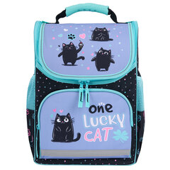 Ранец ПИФАГОР BASIC, 1 отделение, 3 кармана, эргономичная спинка, &laquo;Funny cats&raquo;, 35&times;28&times;18 см, 273135