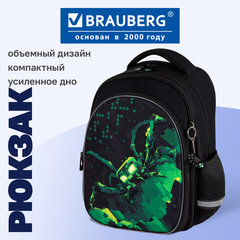 Рюкзак BRAUBERG OPTIMA, 2 отделения, с брелоком, "Зловещий паук", объемный дизайн, 36х27х18 см, 273160