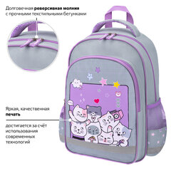 Рюкзак ПИФАГОР SCHOOL, 1 отделение, 3 кармана, "Вечеринка", 38x28х14 см, 273165