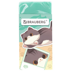 Ластик кросс-серия МИЛЫЕ КОТЫ, 50&times;24&times;10 мм, прямоугольный, картонный держатель, ассорти, ЭКО ПВХ, BRAUBERG, 273227