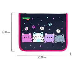 Папка для тетрадей BRAUBERG KIDS А5, 1 отделение, пластик, молния вокруг, &laquo;Anti-gravity&raquo;, 273323