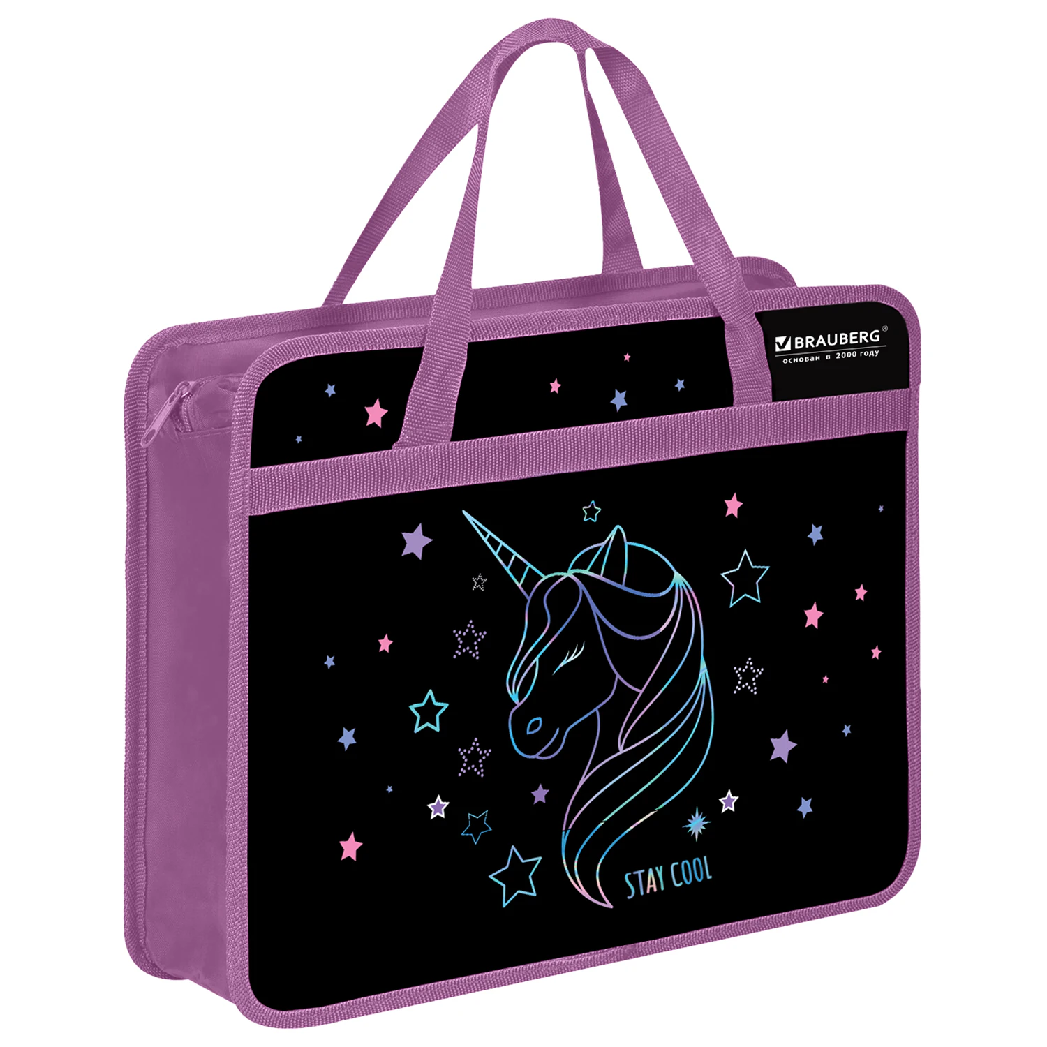 Папка на молнии с ручками BRAUBERG А4, 1 отделение, пластик, 80 мм, "Radiant unicorn", 273369