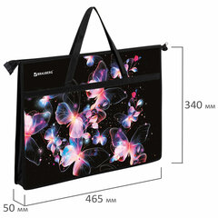 Папка для рисунков и чертежей с ручками BRAUBERG А3, пластик, молния сверху, &laquo;Butterflies&raquo;, 273412