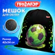 Мешок для обуви ПИФАГОР, 1 отделение, 42х34 см, "Offline", 273424
