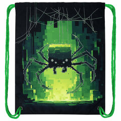 Мешок для обуви BRAUBERG PREMIUM, карман, подкладка, светоотражайка, 43&times;33 см, &laquo;Digital spider&raquo;, 273444