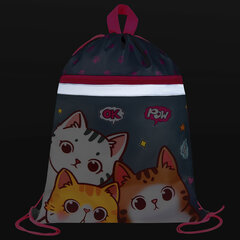 Мешок для обуви BRAUBERG, с петлей, светоотражающая полоса, 2 отделения, 46&times;36 см, &laquo;Hi there&raquo;, 273449