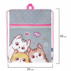 Мешок для обуви BRAUBERG, с петлей, светоотражающая полоса, 2 отделения, 46&times;36 см, &laquo;Hi there&raquo;, 273449