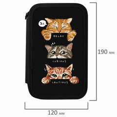 Пенал ПИФАГОР, 3 отделения, ламинированный картон, 19&times;11 см, &laquo;Cool trio&raquo;, 273486