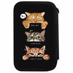 Пенал ПИФАГОР, 3 отделения, ламинированный картон, 19&times;11 см, &laquo;Cool trio&raquo;, 273486