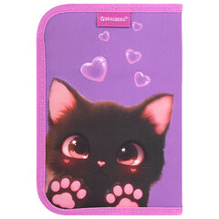 Пенал BRAUBERG, 1 отделение, 2 откидные планки, полиэстер, 21&times;14 см, &laquo;Paw prints&raquo;, 273526