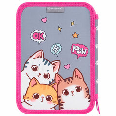 Пенал BRAUBERG, 2 отделения, полиэстер, 21&times;14 см, &laquo;Hi there&raquo;, 273536